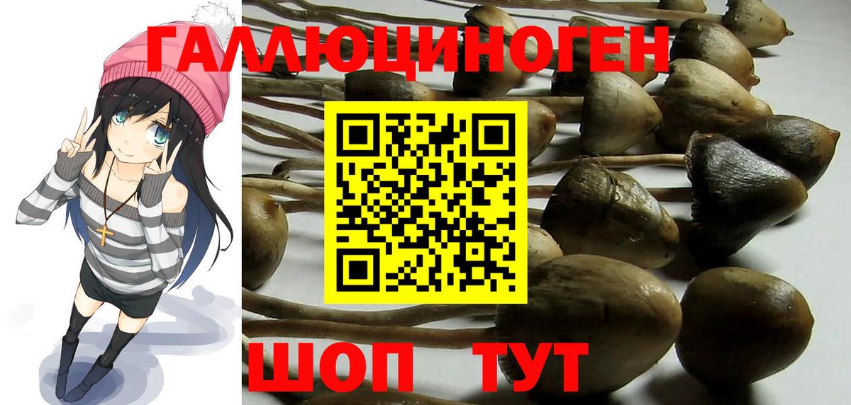 даркнет сайт  Псилоцибиновые грибы Psilocybine cubensis  Вход с VPN  Ленинск-Кузнецкий 