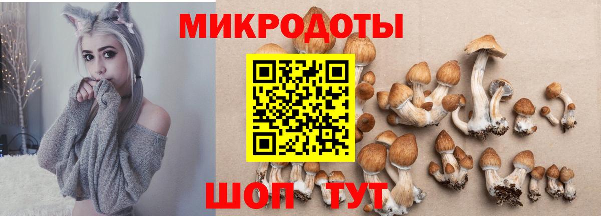 Галлюциногенные грибы MAGIC MUSHROOMS Ленинск-Кузнецкий